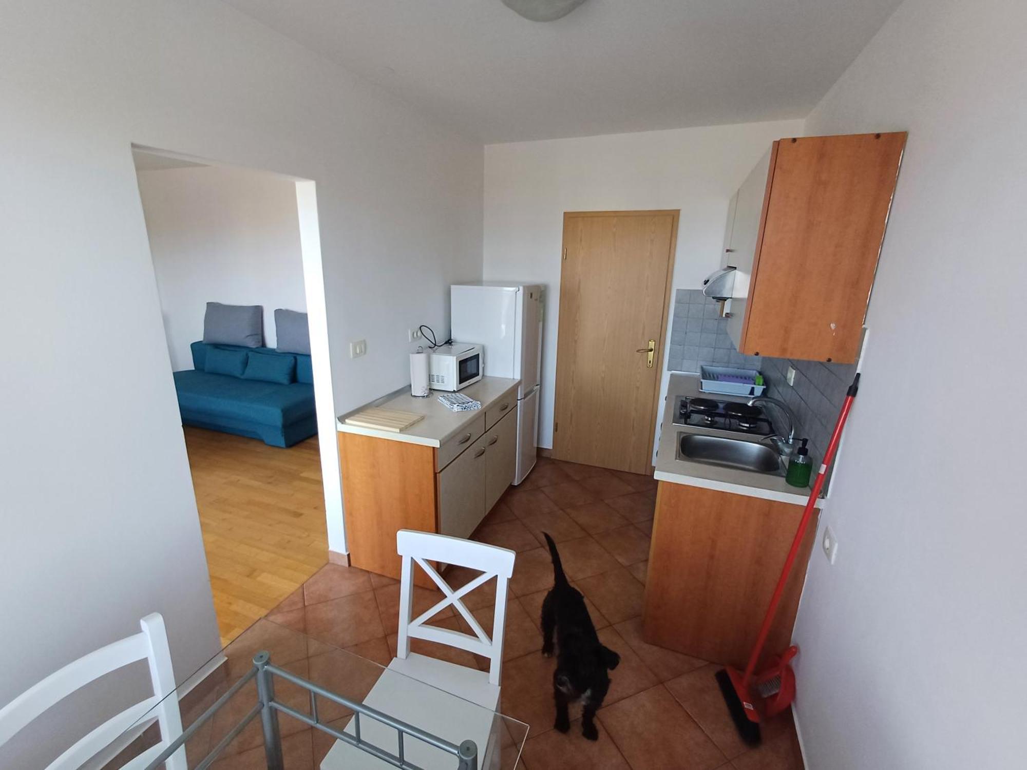 Appartamento The Orange House Izola Esterno foto